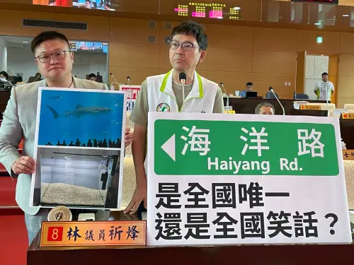 全國唯一海洋路？　議員打臉盧市府自嗨政績
