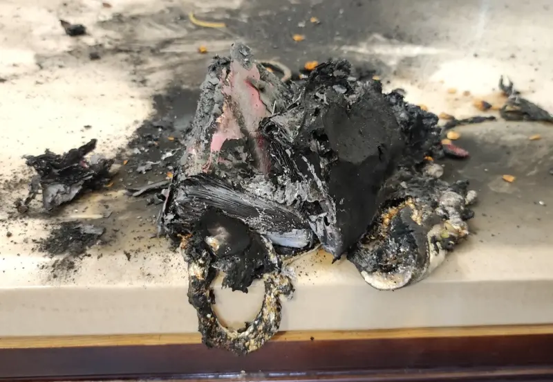 ▲小米行動電源傳出自爆意外，民眾林先生提到，今早放在桌上的小米自帶線20,000mAh 33W行動電源，沒有充電竟自爆起火，所幸緊急滅火才沒有釀成災難。（圖／民眾林正文授權）