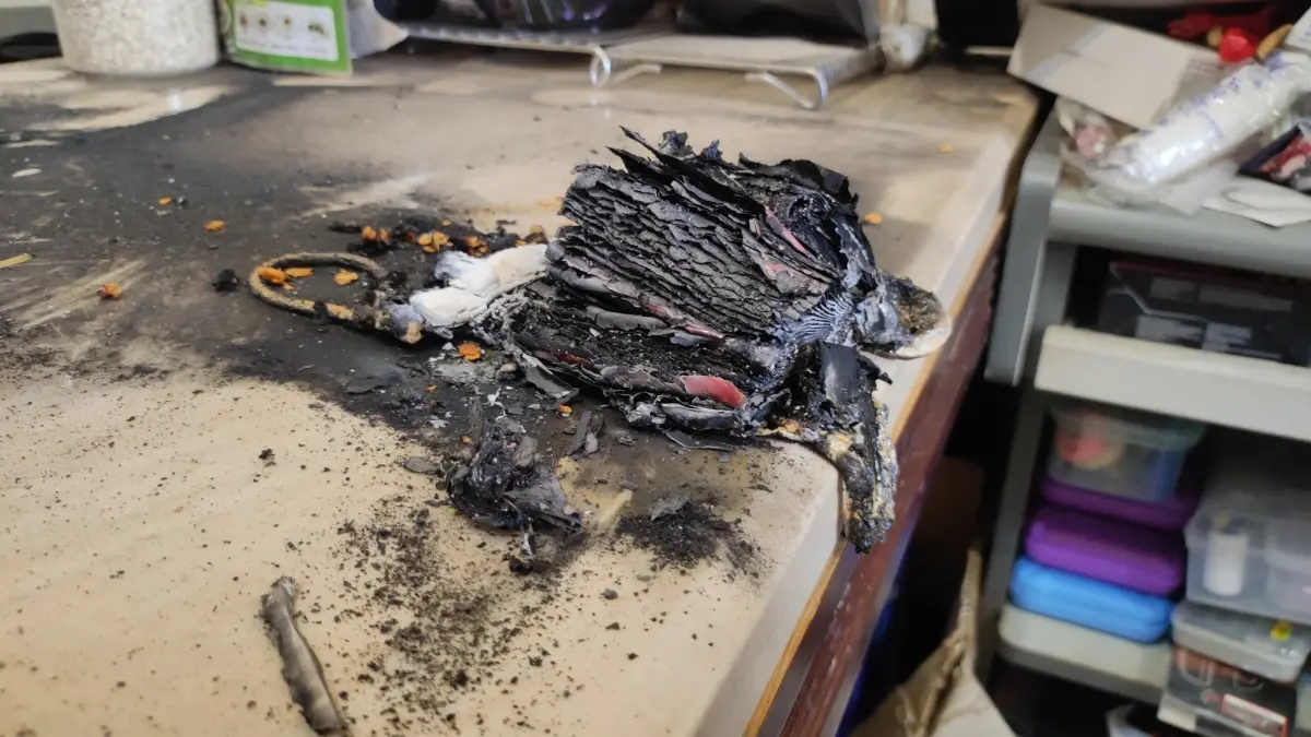 ▲行動電源近期頻傳爆炸意外，3C達人Tim哥、廖阿輝就建議挑選行動電源的5撇步，讓你買到合格、安全的行動電源。（圖／民眾林正文授權）