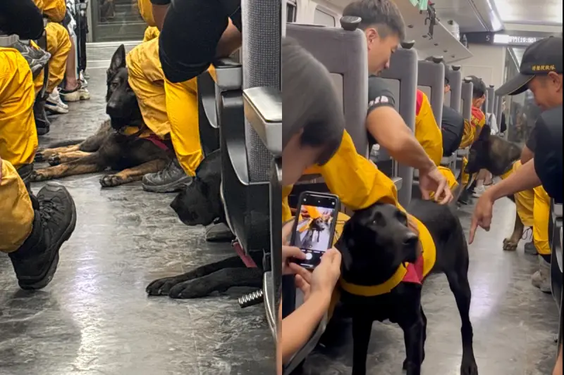 ▲就有民眾在搭乘火車時，意外偶遇搜救隊帶著搜救犬。（圖／翻攝自threads）