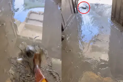 ▲（圖／Threads@jinpeiwen授權提供）