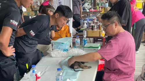 ▲台灣寵物保母協會進駐花蓮光復糖廠的避難所，由各地專業獸醫、志工幫忙，開始為災區被救出的貓狗進行醫療支援。（圖／台灣寵物保姆協會授權）