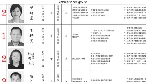 ▲大馬村長王梓安當年選舉公報政見。（圖／翻攝畫面）