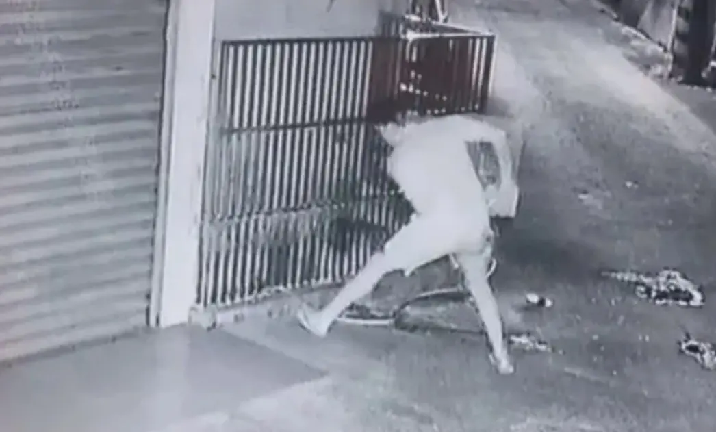 ▲東縣崁頂鄉一名男子不滿鄰居飼養的犬隻不時吠叫，28日晚間8點多，竟以尖銳鐵管刺殺籠內黃狗。（圖／翻攝畫面）