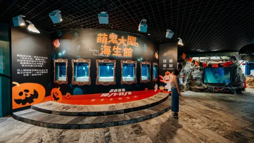 迎萬聖節！屏東海生館展出怪奇生物　系列活動同步登場
