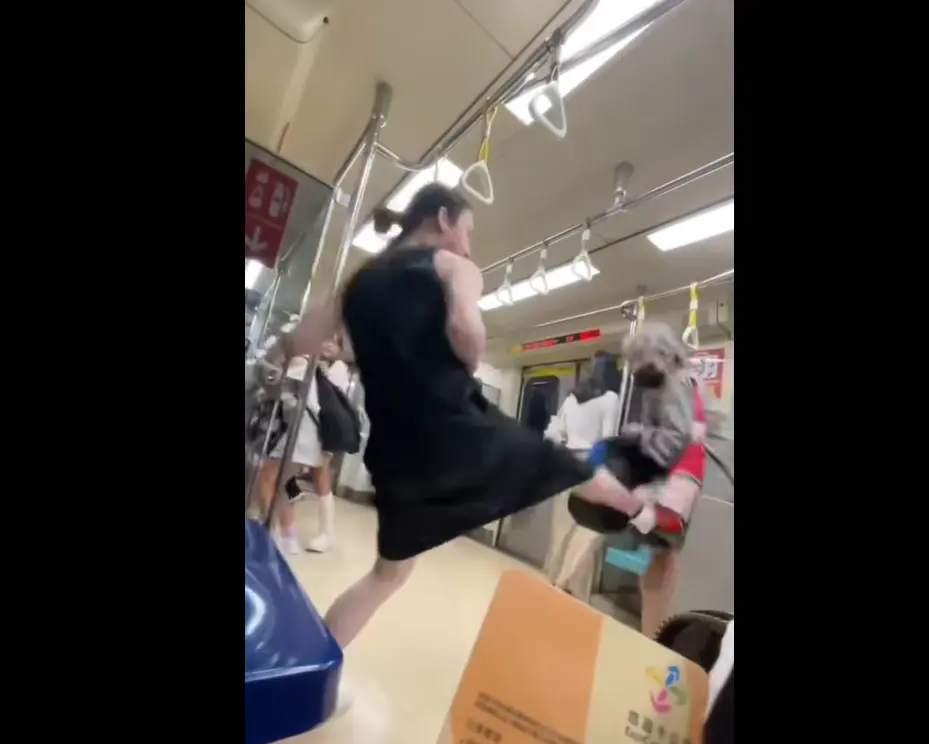 ▲網路瘋傳一段影片，一名老婦要求讓座不成，反遭男子踹飛。（圖／翻攝畫面）