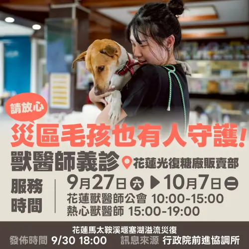 守護毛小孩！獸醫師進駐花蓮光復災區　輪班義診9小時不間斷
