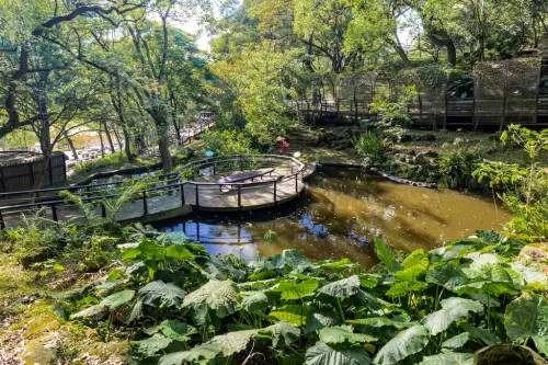 ▲虎頭山公園內烤肉區是桃園唯一合法烤肉地點，與三疊水池相伴，一陣陣風吹過水面，順勢讓烤肉區民眾消消暑氣。（圖／桃園市觀光旅遊局）