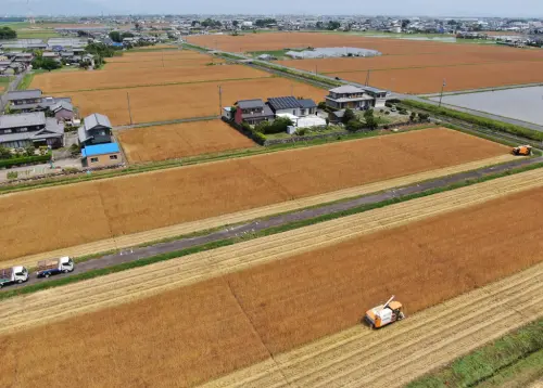 外國買家狂掃日本農地！去年購「37東京巨蛋」大小　中國買家最多
