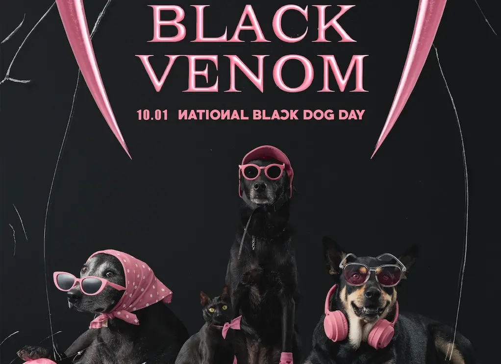 ▲今（1）日為「世界黑狗日」，高雄動保處表示，為響應世界黑狗日，特別邀請30組黑狗家庭回娘家拍攝，推出限定實力派團體「BlackDog」。（圖／取自高雄市動物保護處粉絲團 ）