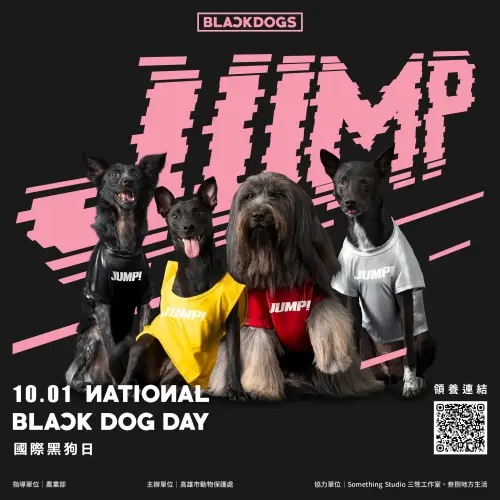 ▲（圖／取自高雄市動物保護處粉絲團 ）