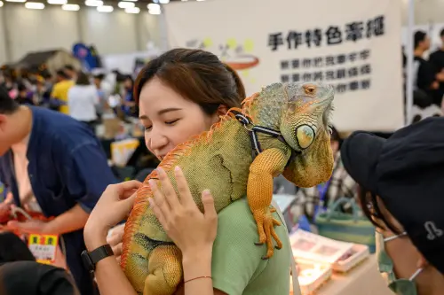 ▲現場可攜帶自家寶貝寵物和全國玩家進行交流（圖／ 社團法人台中市飛雁創業協會提供）