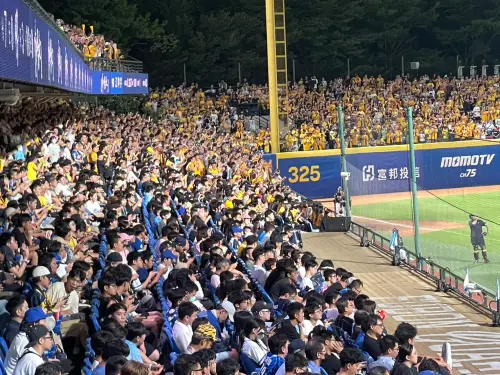 中職／新莊球場「應援比大聲」！悍將主場加油　外野象迷狂喊三振
