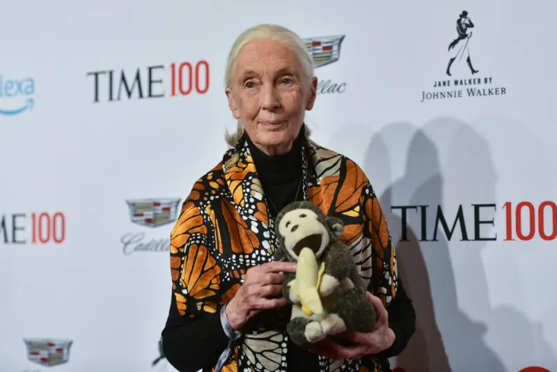 ▲英國知名靈長類動物學家珍古德（Jane Goodall）離世，享耆壽91歲。（圖／美聯社／達志影像）