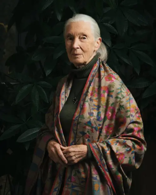 ▲珍古德博士在睡夢中離世，享耆壽91歲。（圖／翻攝自珍古德IG@janegoodallinst）