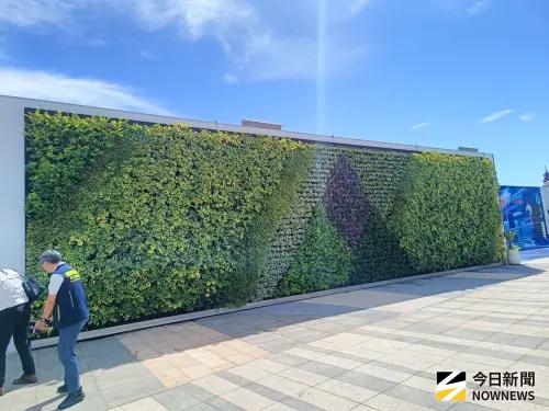▲巨型植生牆，長約16公尺、高約3.5公尺，既有美化功能又環保。（圖／記者許若茵攝）