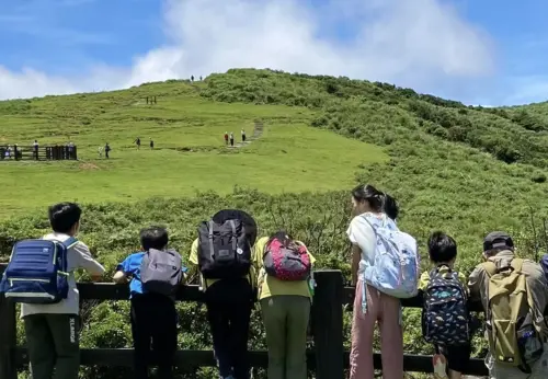 ▲珍古德實驗教育機構每週會有一次戶外生態課程，會前往陽明山、華江雁鴨自然公園、臺北植物園等進行。（圖／翻攝官網）