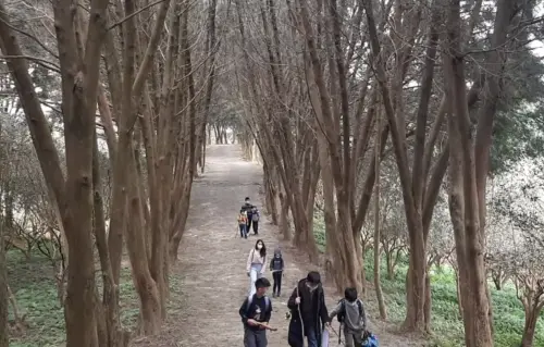 ▲珍古德實驗教育機構每週會有一次戶外生態課程，會前往陽明山、華江雁鴨自然公園、臺北植物園等進行。（圖／翻攝官網）