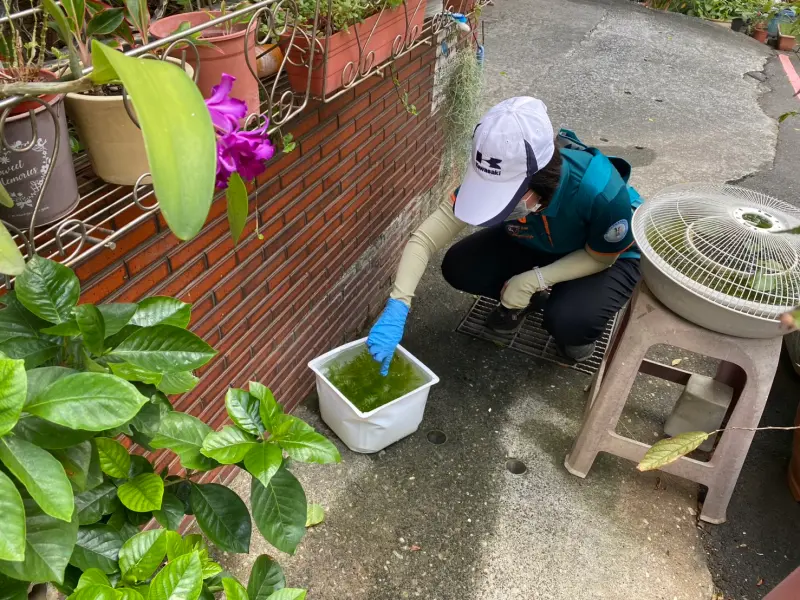 ▲北市衛生局公布，今年北市首例登革熱本土病例。（圖／北市衛生局提供）