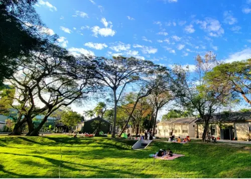 ▲旗糖農創園區自2022年啟用以來，秉持「自然共生、永續生活」理念，陸續建置多項低碳設施，包括具水資源循環功能的滯洪草坡與雨水撲滿。（圖／高市府提供）