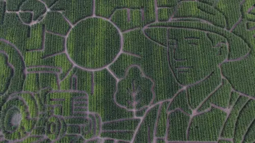 「世界最大玉米田迷宮」重新開放！想走出去得花多久時間？
