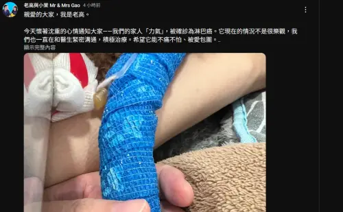 ▲老高在社群上公布力氣罹癌的消息，自己與小茉決定把全部時間與心力放在陪伴與照顧力氣上。（圖／翻攝YT@老高與小茉）