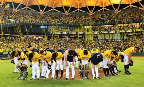 中職／年度票房總整理！中信兄弟寫標竿級紀錄　人氣第2竟是這隊
