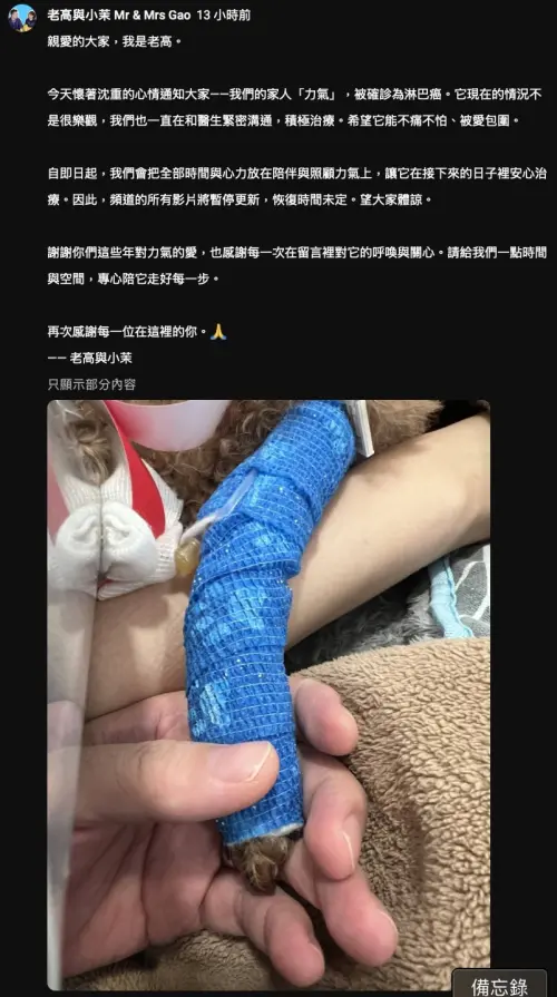 ▲老高與小茉無預警宣布停更，專心照顧罹患淋巴癌的愛犬。（翻攝自YouTube@老高與小茉 Mr & Mrs Gao）