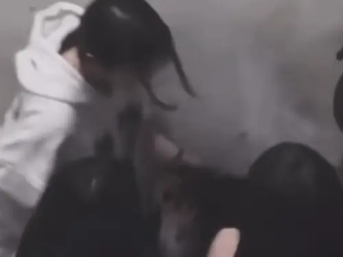 西門町爆當街霸凌！國中女「樓梯間遭腳踹頭、撞牆」網一看全氣炸
