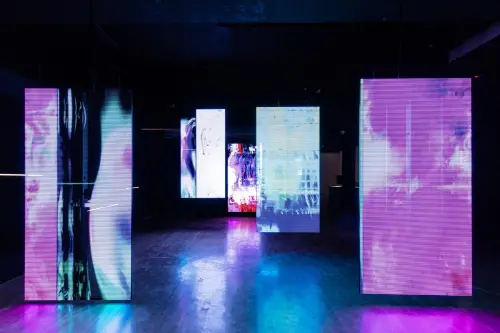 ▲陳昱榮《空間演算法—流動的邊界》以演算法結合環境數據，生成流動光影。