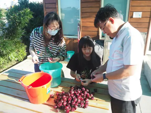 ▲蓮花園休閒農業區還能體驗各種活動，洛神花DIY，有專人指導製作，成品零失敗。（圖／特色農場網）