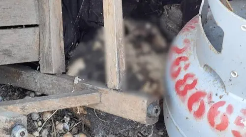 苗栗廢棄工廠驚見「一堆白骨」DNA鑑定身分　疑似失蹤3年的老翁
