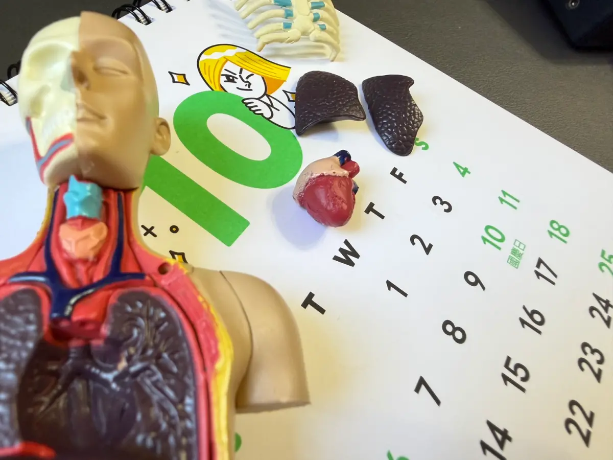 ▲中秋連假正式開始放假，下週二開工後上班三天又馬上接國慶連假，許多上班族、學生都非常開心，但也不少人已經著手規劃2026年行程啦！（圖/記者周淑萍攝）