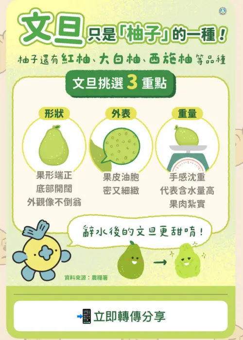 ▲（圖／取自教育部官方LINE）