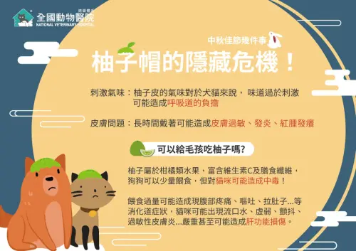 ▲（圖／取自全國動物醫院官網vet.com.tw）