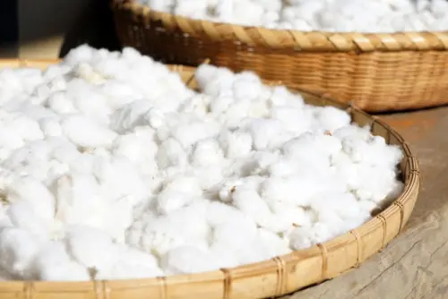 ▲（圖／翻攝自photoAC）