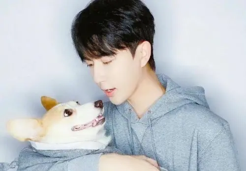 于朦朧愛犬下落曝！好友證實被收養　粉絲提疑點怒轟：確定還在嗎
