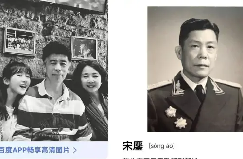 ▲有網友爆料宋伊人是紅三代，直言：「在中國沒背景就等死」。（圖／翻攝自Ｘ）