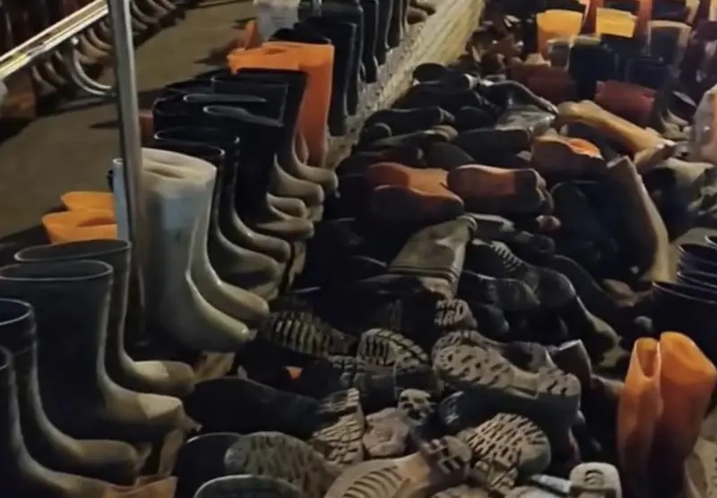 ▲金馬獎最佳男配角獎、資深藝人陳慕義在臉書曬出上千成雙的雨鞋喊：「台灣最美麗的風景是人」。（圖／擷取自陳慕義臉書）