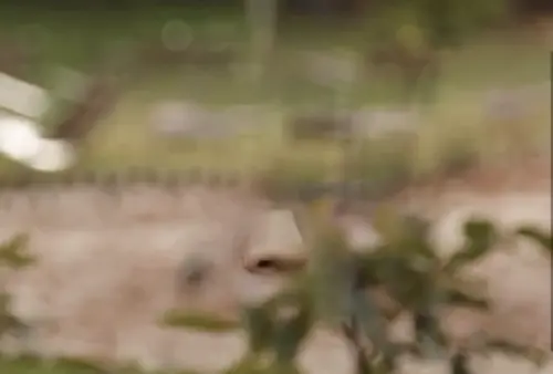 ▲（圖／翻攝自微博）