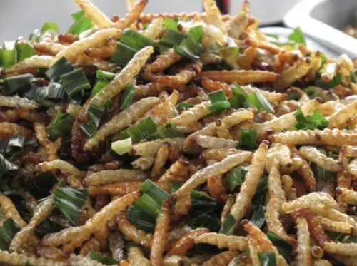 ▲泰國路邊攤隨處可見炸蠶寶寶。（圖／翻攝自namnuntawan）