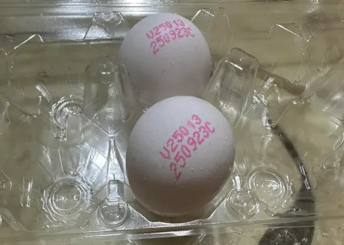 ▲有民眾好奇「這串數字到底是生產日期還是有效期限？字母又代表什麼意義」。（圖／我愛全聯-好物老實說）