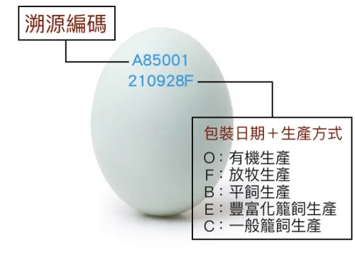 ▲台灣從2022年元旦開始，就正式實施雞蛋噴印溯源標示政策（圖／農業部）