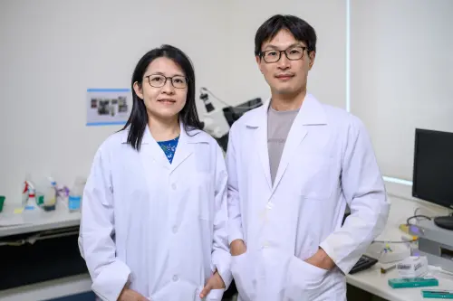 如天文學家追蹤星空閃爍　陽交大團隊定位大腦神經活動電訊號
