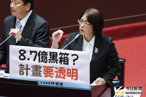 「誰要誰拿」引炸鍋！林倩綺嫌棄總統春聯　社群互嗆被炎上
