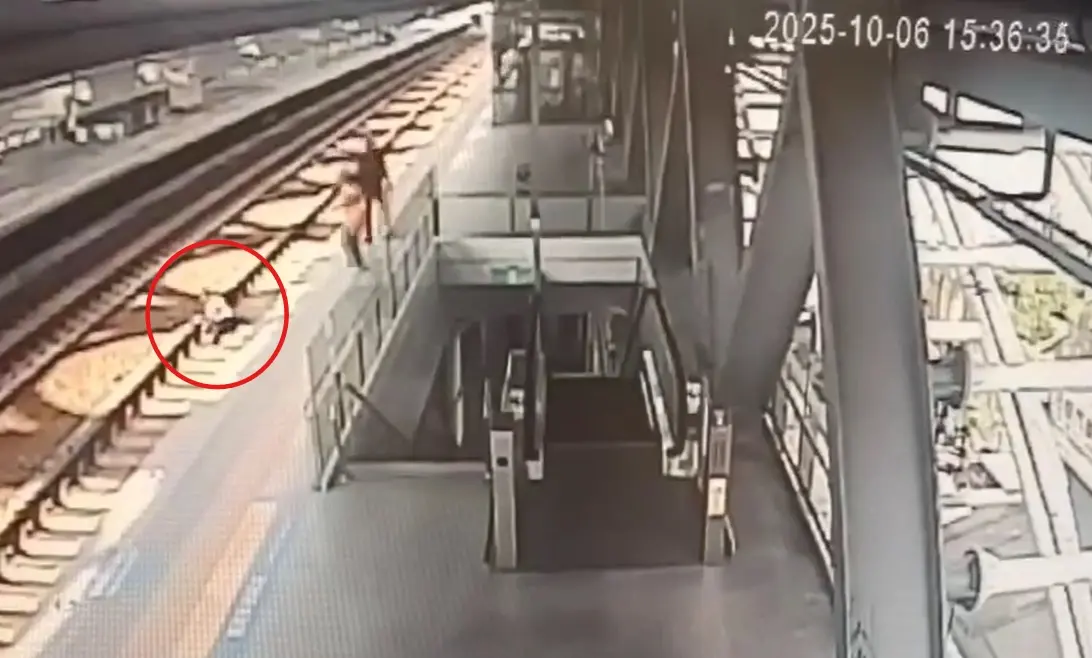 ▲台鐵五權車站站務員抓逃票，慘遭推落軌。（圖／台鐵提供）