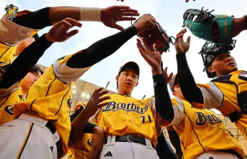 台灣大賽象猿爭霸！限量VIP套票今午開搶　獨享5福利還可抽機票
