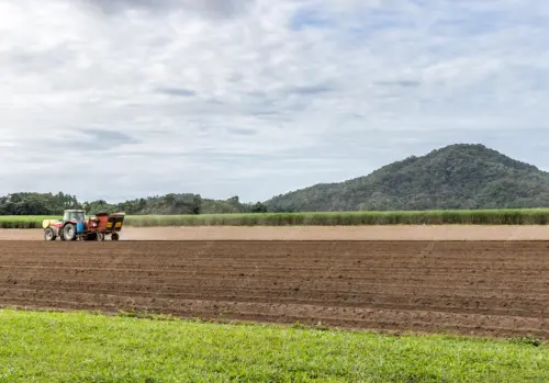 施肥別讓鄰居皺眉　農業局籲農友合理用肥防異味
