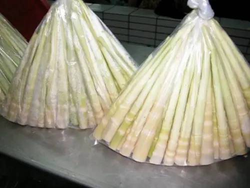 虧！南投前科男「偷割1斤劍筍」　易科罰金9萬元「可買225斤」
