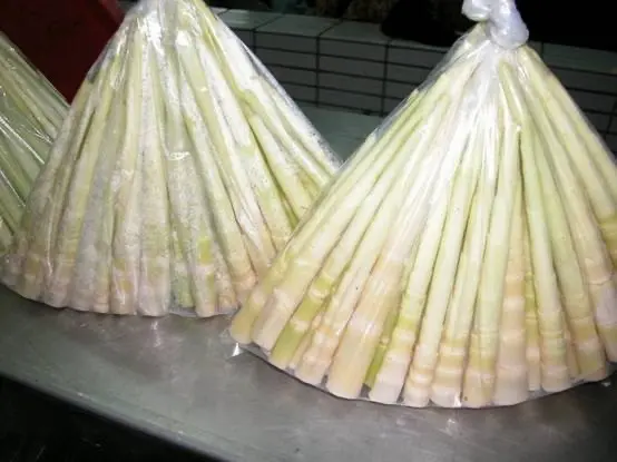 虧！南投前科男「偷割1斤劍筍」　易科罰金9萬元「可買225斤」